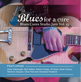 Blues Cures Studio Jam Vol. 15  CD